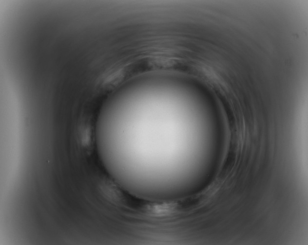 X0000086790134200704201851