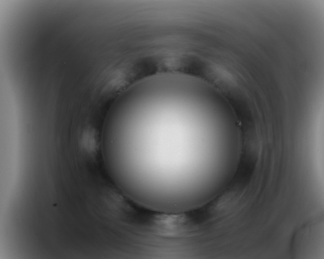 X0000086790135200704201851