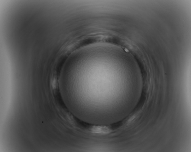 X0000086790137200704201851