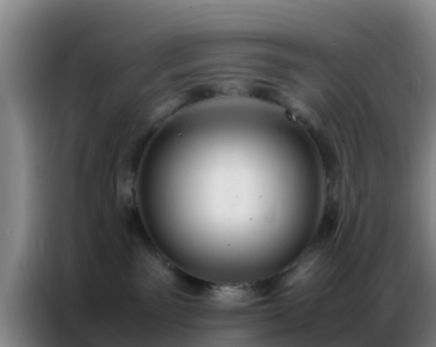 X0000086790141200704201851