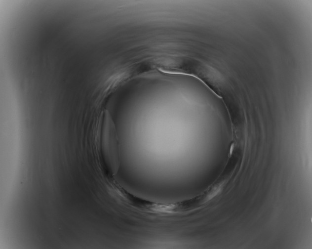X0000086790143200704201851