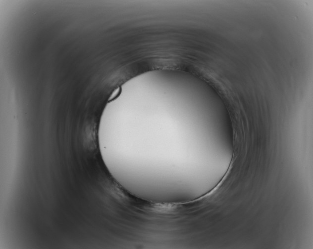 X0000086790144200704201851