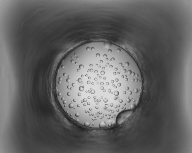 X0000086790145200704201850