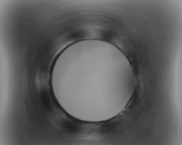 X0000086790146200704201850