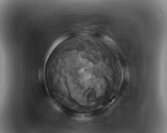 X0000086790147200704201850