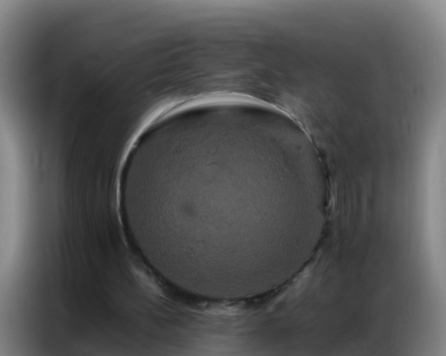 X0000086790148200704201850