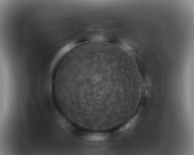 X0000086790149200704201850