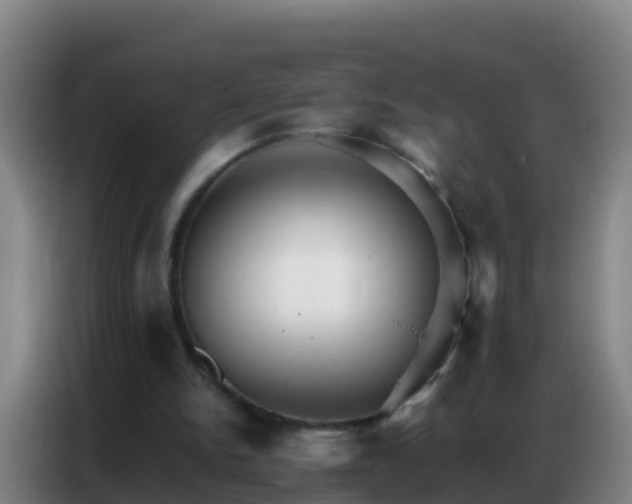 X0000086790150200704201850