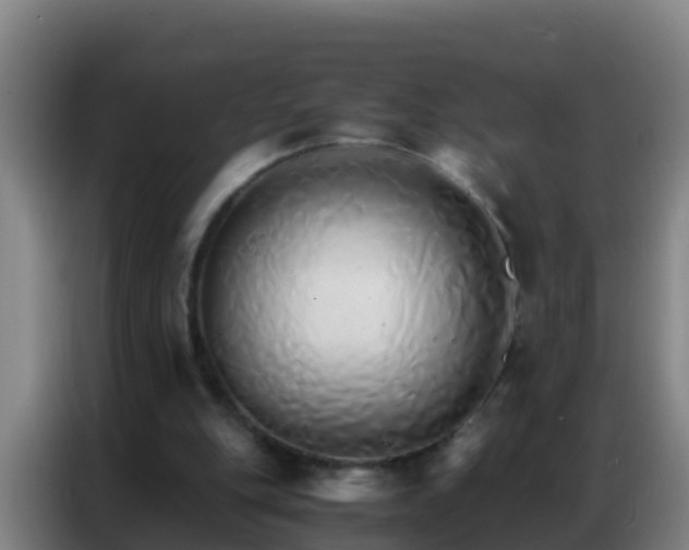 X0000086790151200704201850