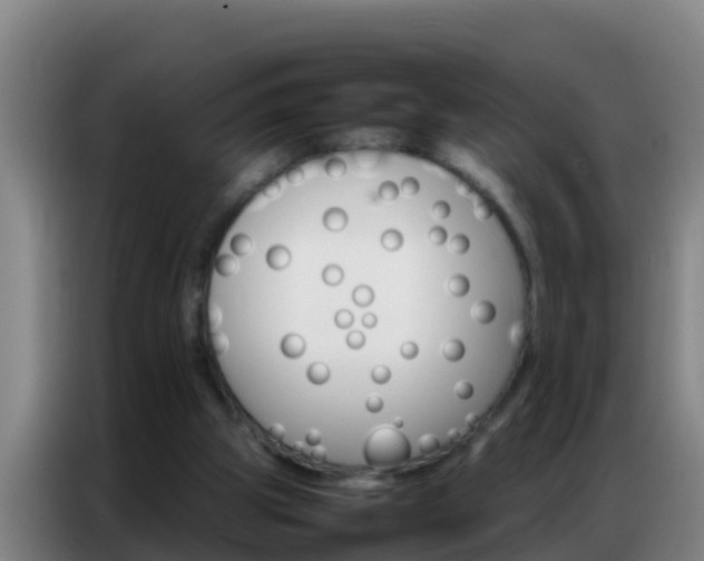 X0000086790153200704201850