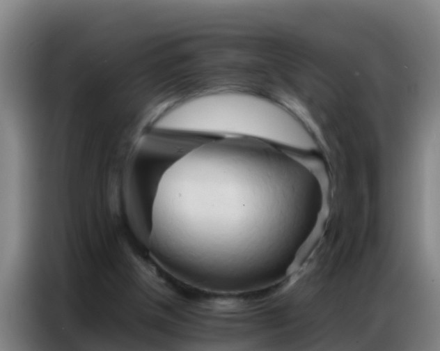X0000086790154200704201850