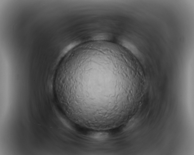 X0000086790155200704201850