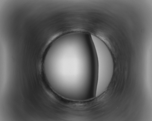 X0000086790156200704201850