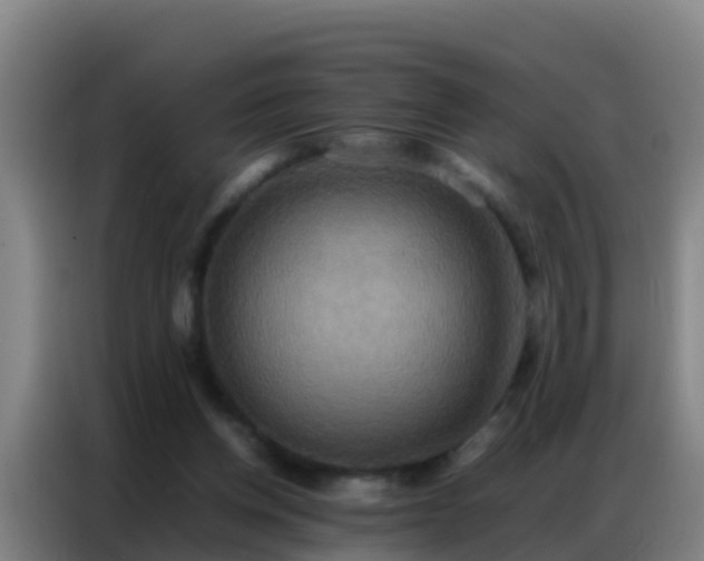 X0000086790158200704201850