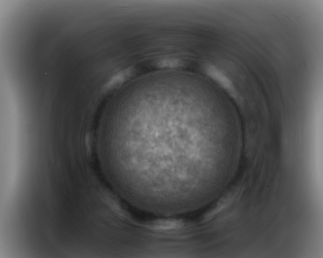 X0000086790161200704201850
