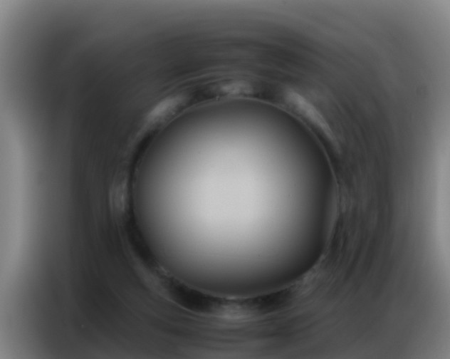 X0000086790163200704201850