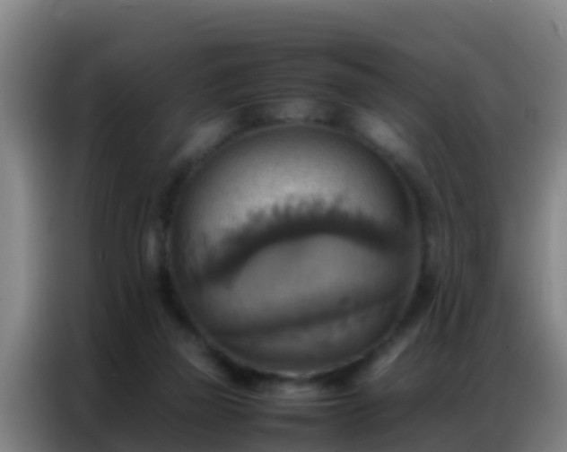 X0000086790165200704201851