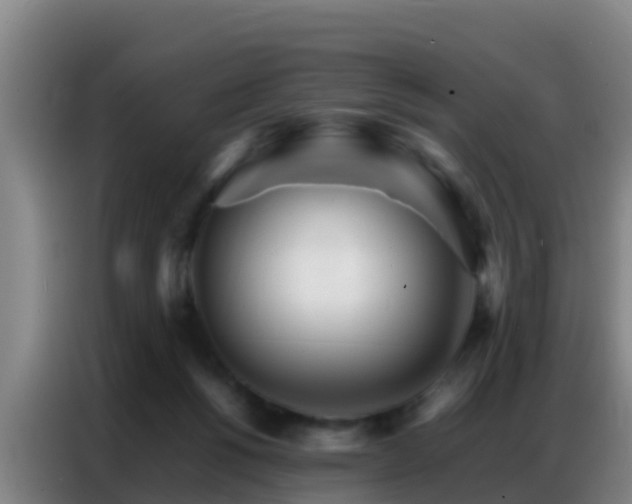 X0000086790168200704201851
