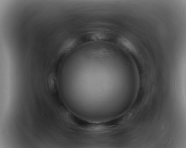 X0000086790169200704201851