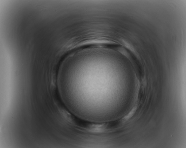 X0000086790170200704201851