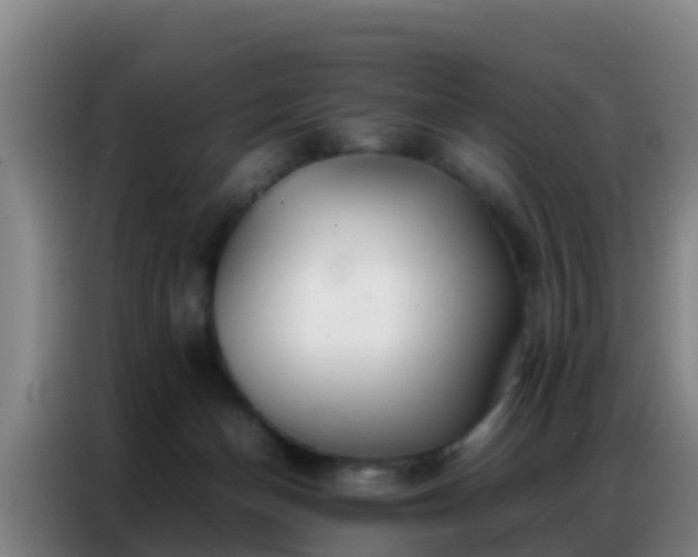X0000086790174200704201851