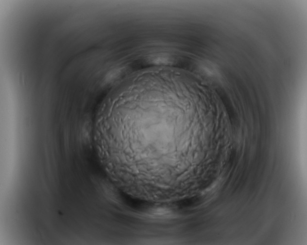 X0000086790175200704201851