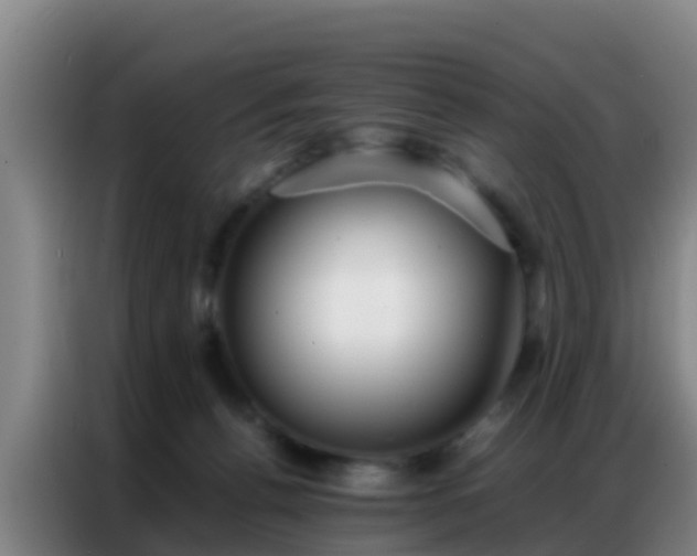 X0000086790176200704201851