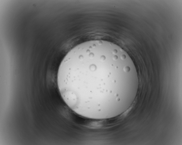 X0000086790178200704201851