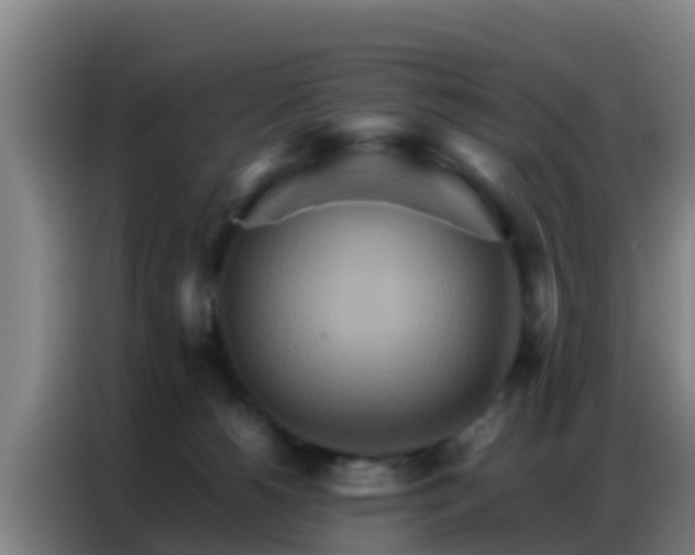 X0000086790180200704201851
