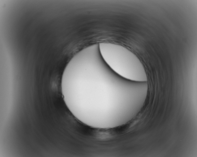 X0000086790181200704201851