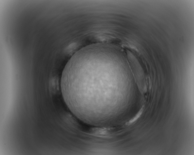 X0000086790182200704201851