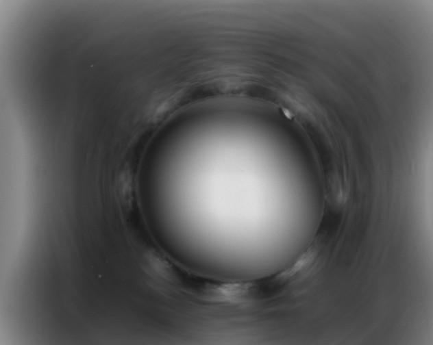 X0000086790184200704201851