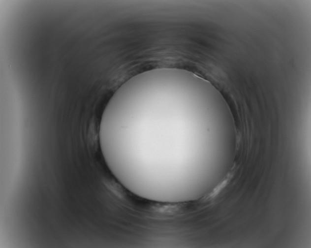 X0000086790186200704201851