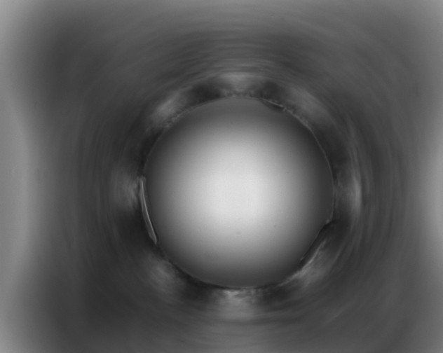 X0000086790188200704201851