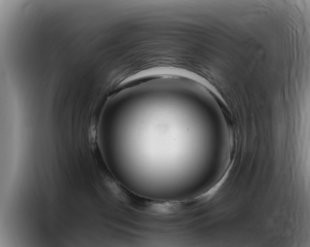 X0000086790190200704201851