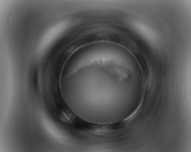 X0000086790191200704201851