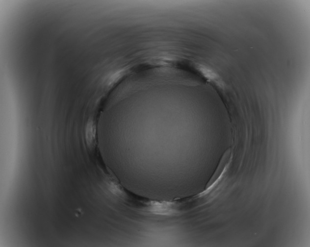 X0000086790192200704201851
