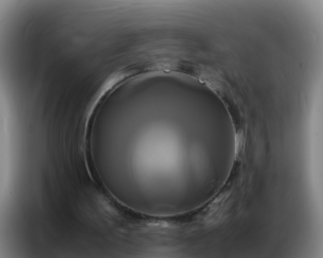 X0000086790195200704201850