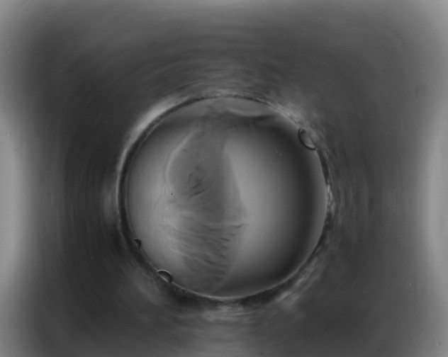 X0000086790196200704201850