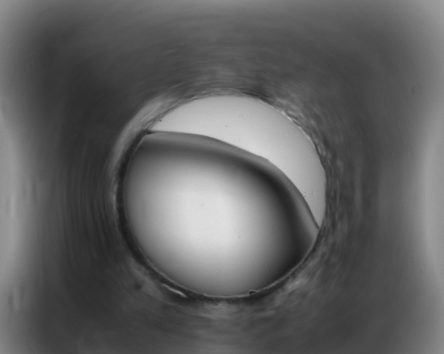 X0000086790197200704201850