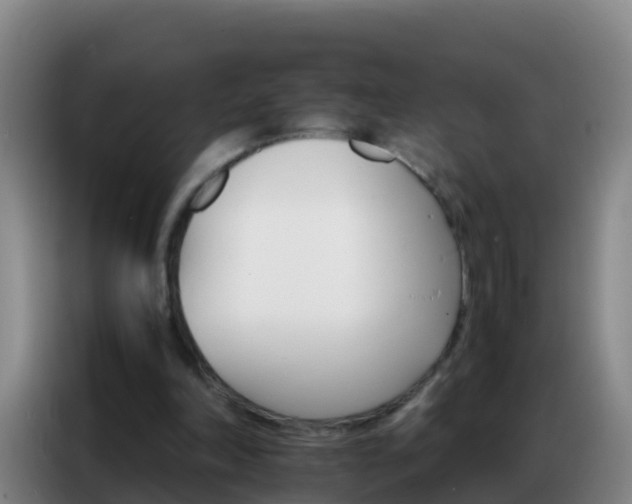 X0000086790198200704201850