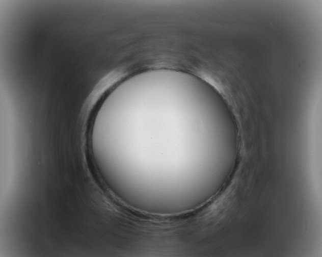 X0000086790199200704201850