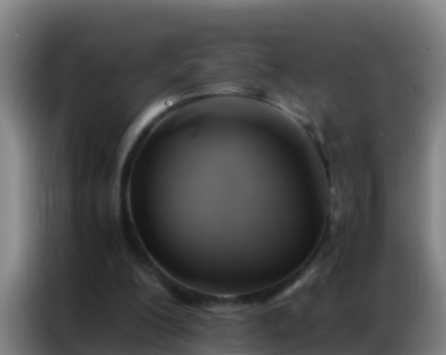 X0000086790200200704201850