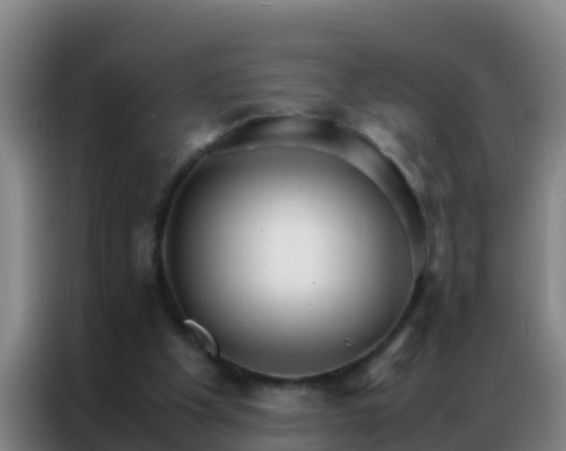 X0000086790201200704201850