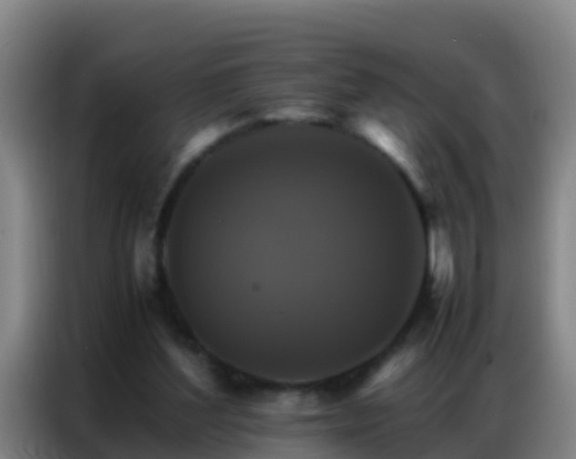 X0000086790204200704201850