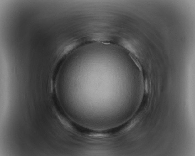 X0000086790205200704201850