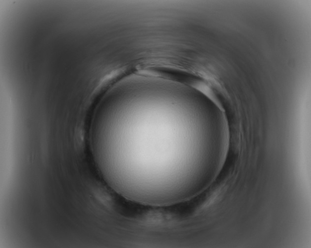 X0000086790207200704201850