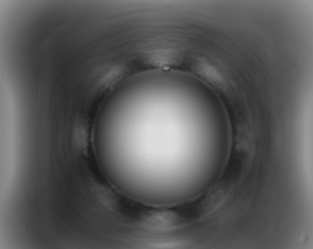 X0000086790210200704201850