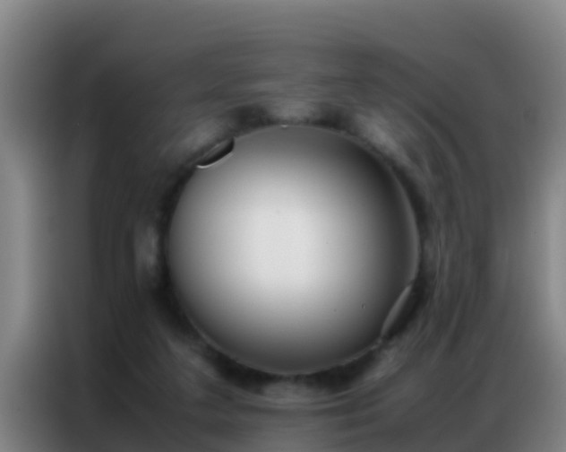 X0000086790211200704201850