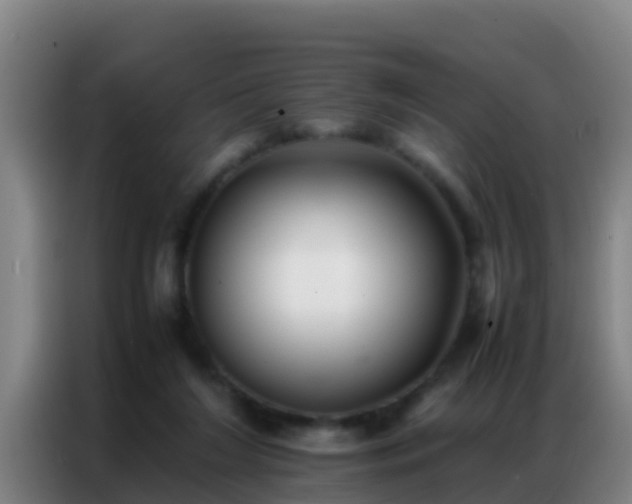 X0000086790212200704201850